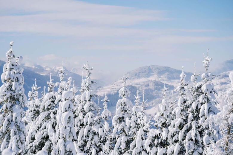 Genieße die Natur der Österreichischen Alpen