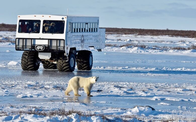 Reiseziele für Männer - Churchill in Manitoba, Kanada